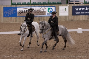 Lusitano Breed Society of Great Britain Show - Hartpury College - 27th June 2009